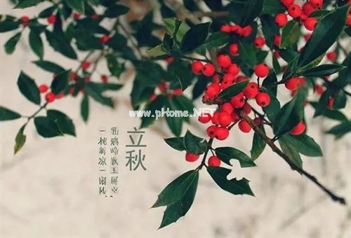 今日立秋朋友圈说说简单(精选26句)