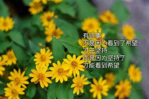 2023致傻傻的自己的说说(精选55句)