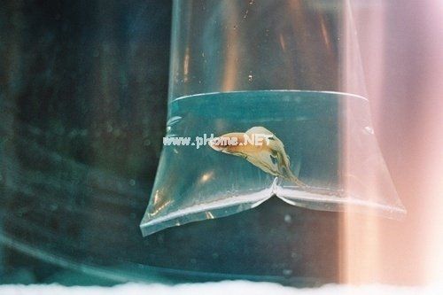 我不知道哪里做错了的说说(精选28句)