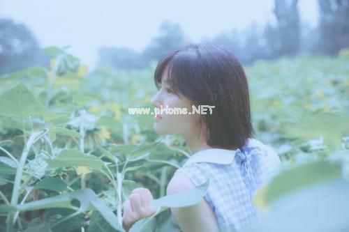 发朋友圈人气暴涨的文案 高情商有内涵的心情句子(精选29句)