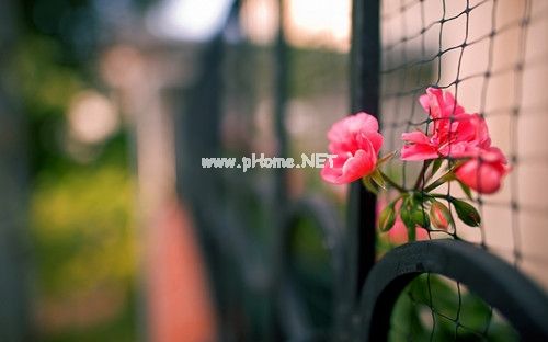 中秋节发给远方打拼老公的说说