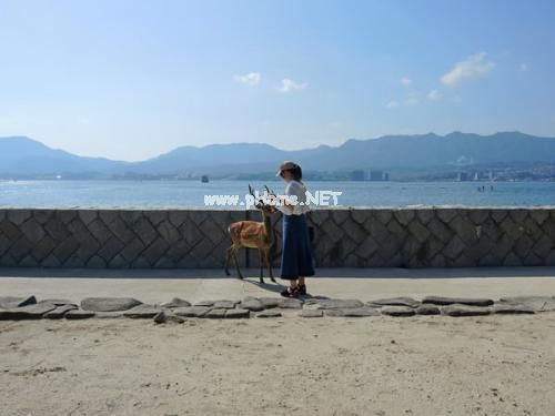 关于要卧床保胎的心情说说句子(精选18句)