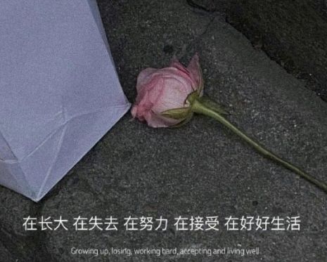 2023全新很揪心的伤感语录 让人红眼鼻酸的伤感说说