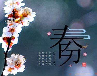 春分节气发朋友圈好听语录 2023春分节气唯美祝福说说