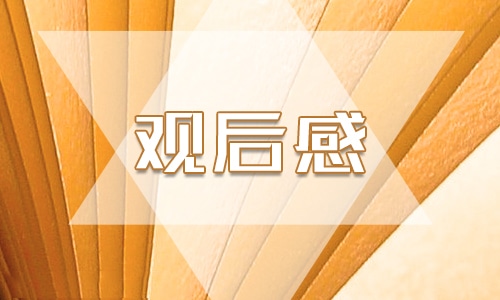 初一《长津湖之水门桥》观后感5篇