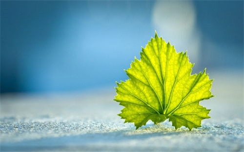 关于脱贫攻坚个人心得总结范文5篇