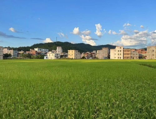 普通员工辞职信2022年最新模板