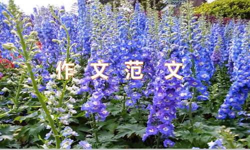 文明交通安全出行<a href=/xueshengzuowen/ target=_blank class=infotextkey>作文</a>最新五篇