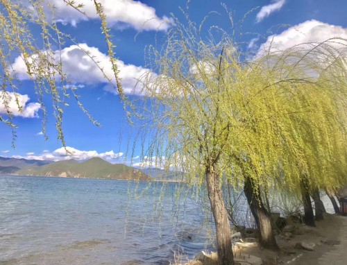 抖音关于夏天写景的好句好段