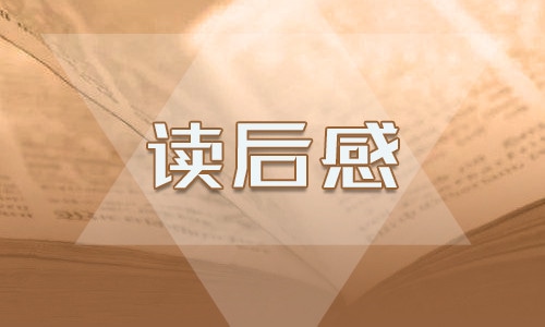2023闪闪的红星的读后感400字