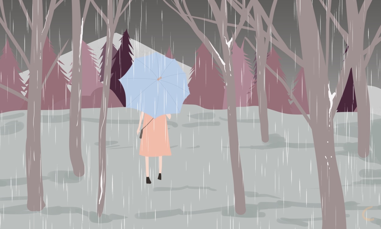 《雨》的作文(优秀5篇)