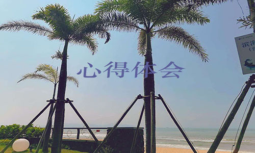 2023安全教育心得体会5篇